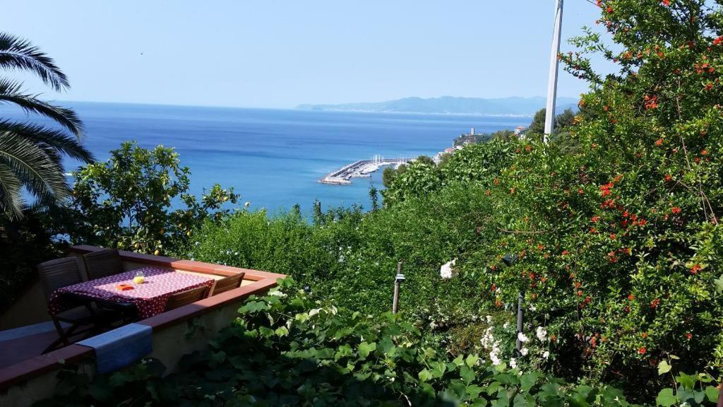 Farm stay La Selva *