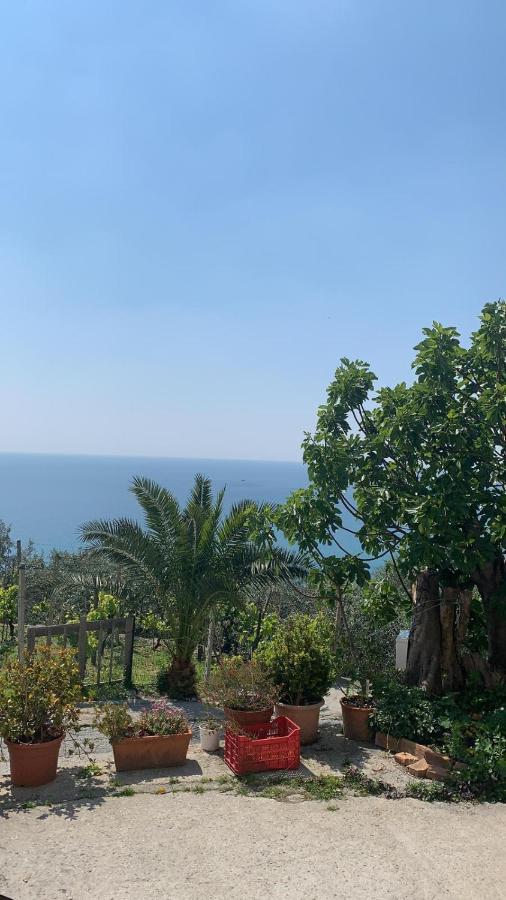 Farm stay La Selva *